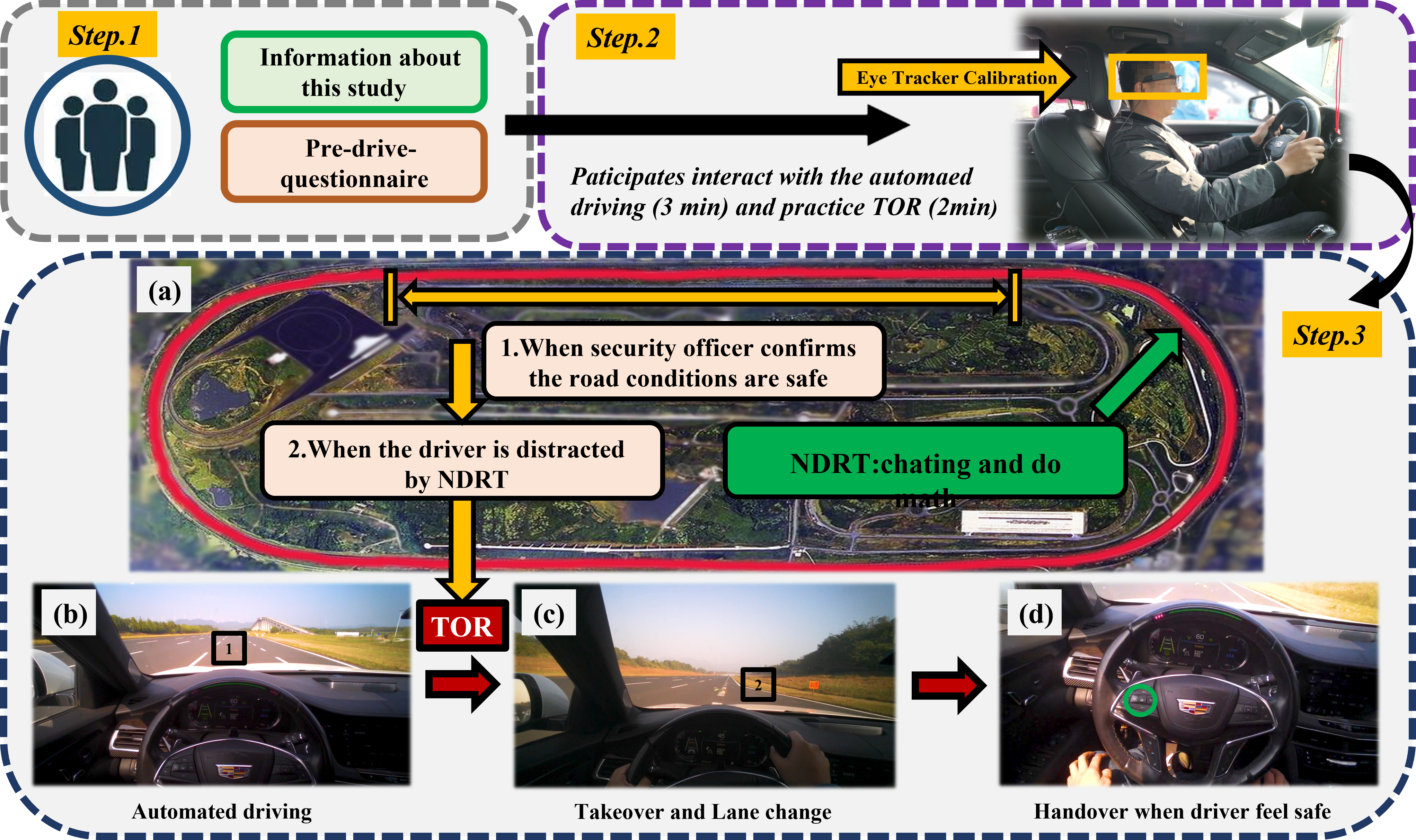 Procedure of the experimental design